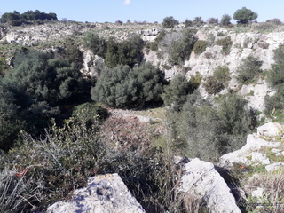 traro-30-12-2021 12-23-08